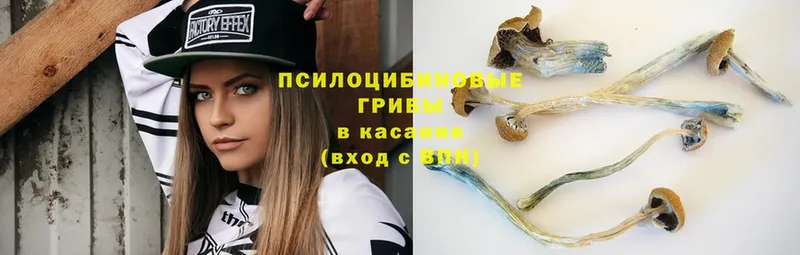 Галлюциногенные грибы Magic Shrooms Мензелинск